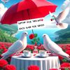 gul.rahman9580