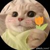zinia_45