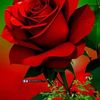 user7754161104947