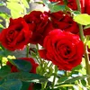 mone58377