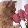 abbswqy