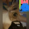 itzz.yuki8