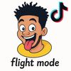 Flight ሙድ
