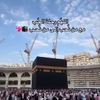 nohaahmed6924