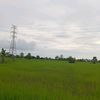 piya_imup4