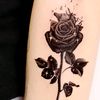black.rose.4.u