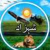 shahzad.ali0854s