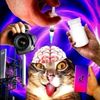 thatistrue8