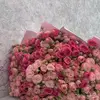 fatma.alrifady