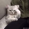 arunana_1111234