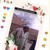 alihamaza8346