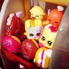 cgsshopkins