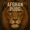 ashiq.zadran0
