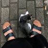 pena.hitam713