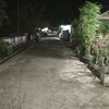 septicaemia1