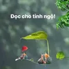 linh89_29