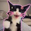 chompookaewkaowsi