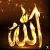 user1903455454600