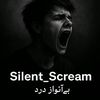 silent_scream39