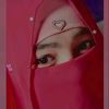 shamarebi784