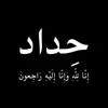 zir_608