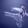 teokwondo1