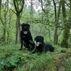 rubyandralph8813