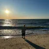 gavin.knoeller