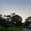 silva_sx67
