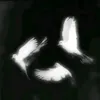 .z.__21