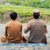 murad.brothers