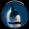 washedx0