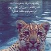 user5253150335328
