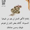 user9066987331318