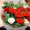 876amy.yy