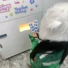 do.anh55