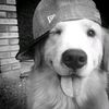 kiinlover_yapping