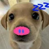 swan.htet.aung4577