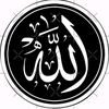 user8486050384063