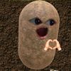 nzx_xwy