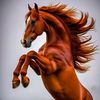 farid.khan7184