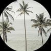 l_ama_105