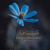 fenniche.toufik