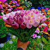 user026810581