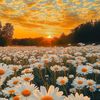 hana.hadj.ali