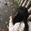 putrii_yeah