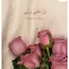 user5251332970873