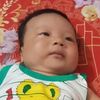 maya.limbu064
