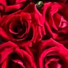 user11_notfound