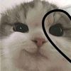 suga.3793